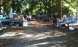 Healesville Coronation Park Market