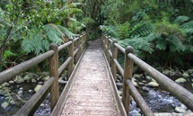 Badger Weir Picnic Area