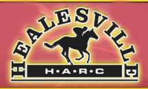 Healesville Races