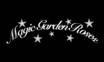 Magic Garden Roses